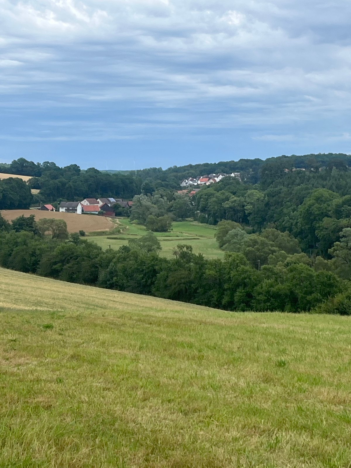 Cloudy summer fields and wildflowers across central Hesse