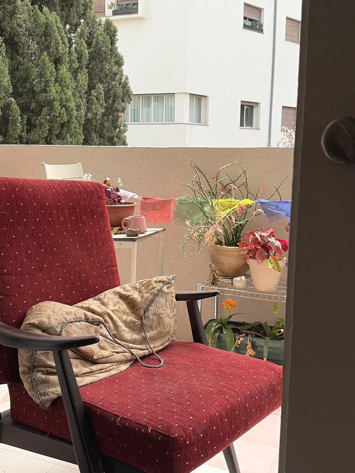 Tel Aviv resident documents quiet morning moments from balcony