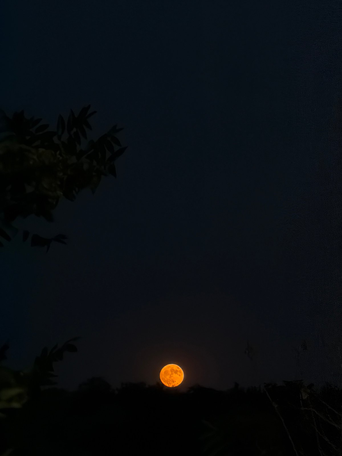 Dusk over Lovech: fortress walls, city views, and a rising orange moon