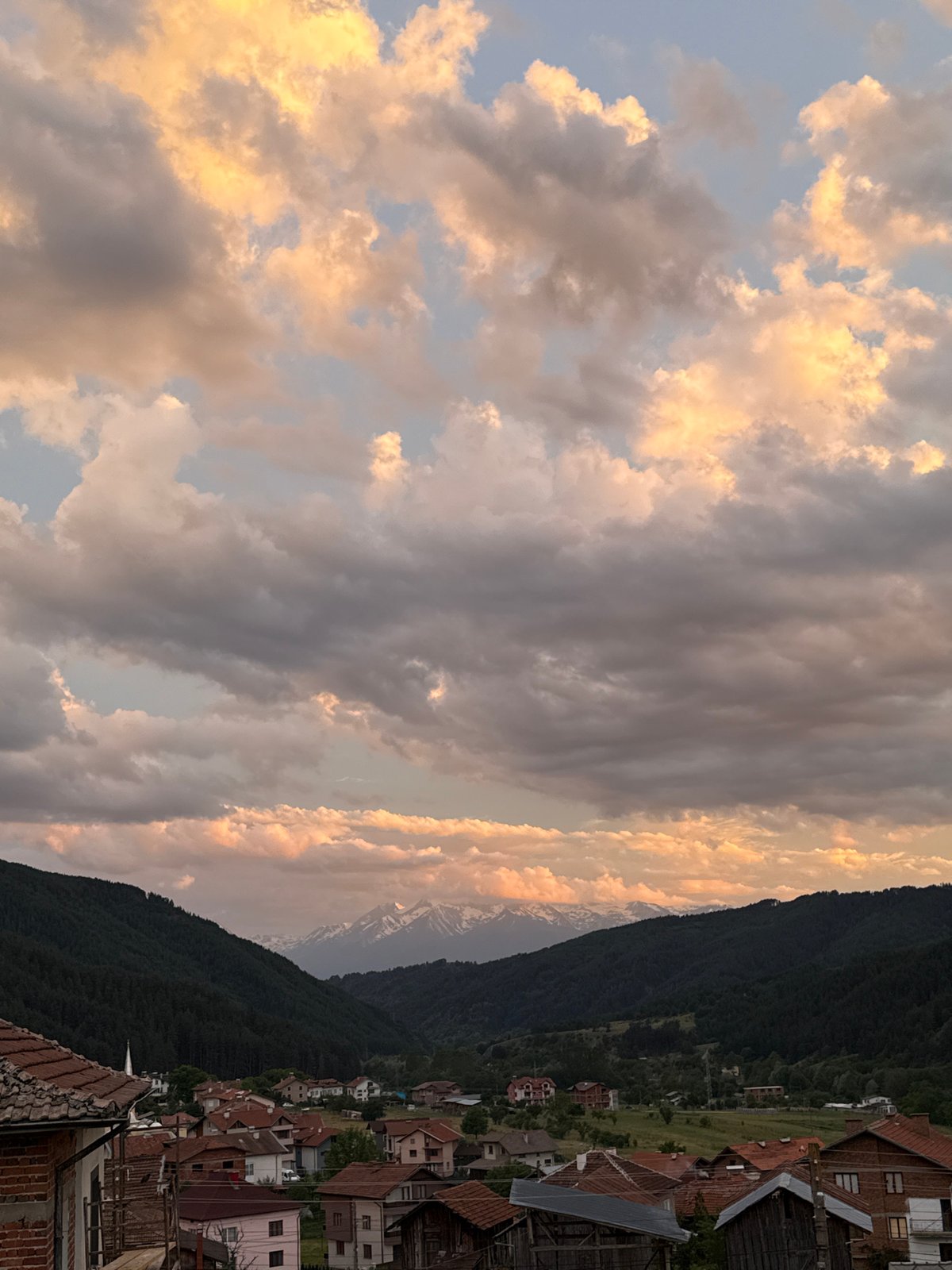 Golden cat observed during dramatic sunset in Bulgarian village