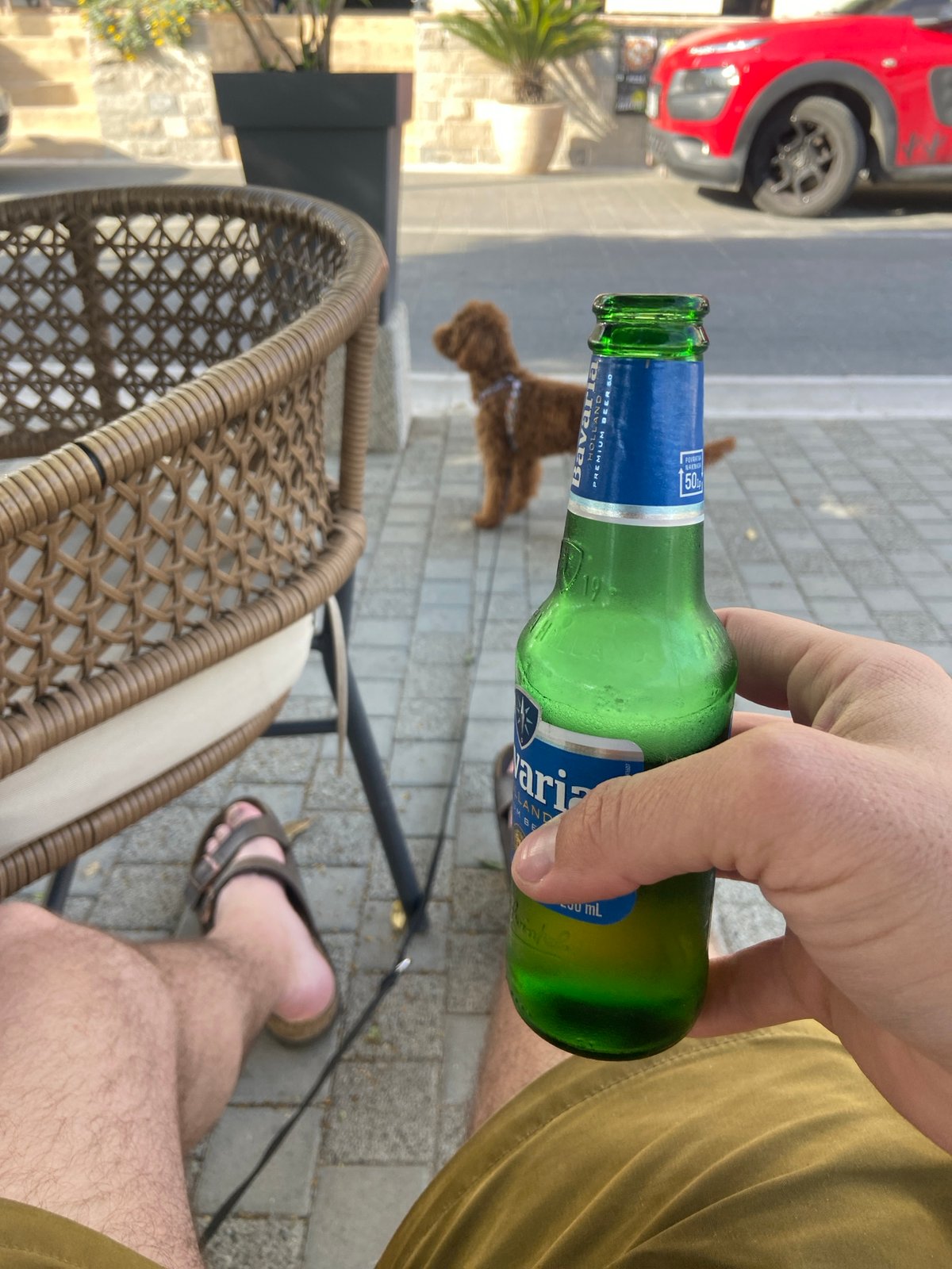 Afternoon beer and dog companionship at Montenegro seaside cafe