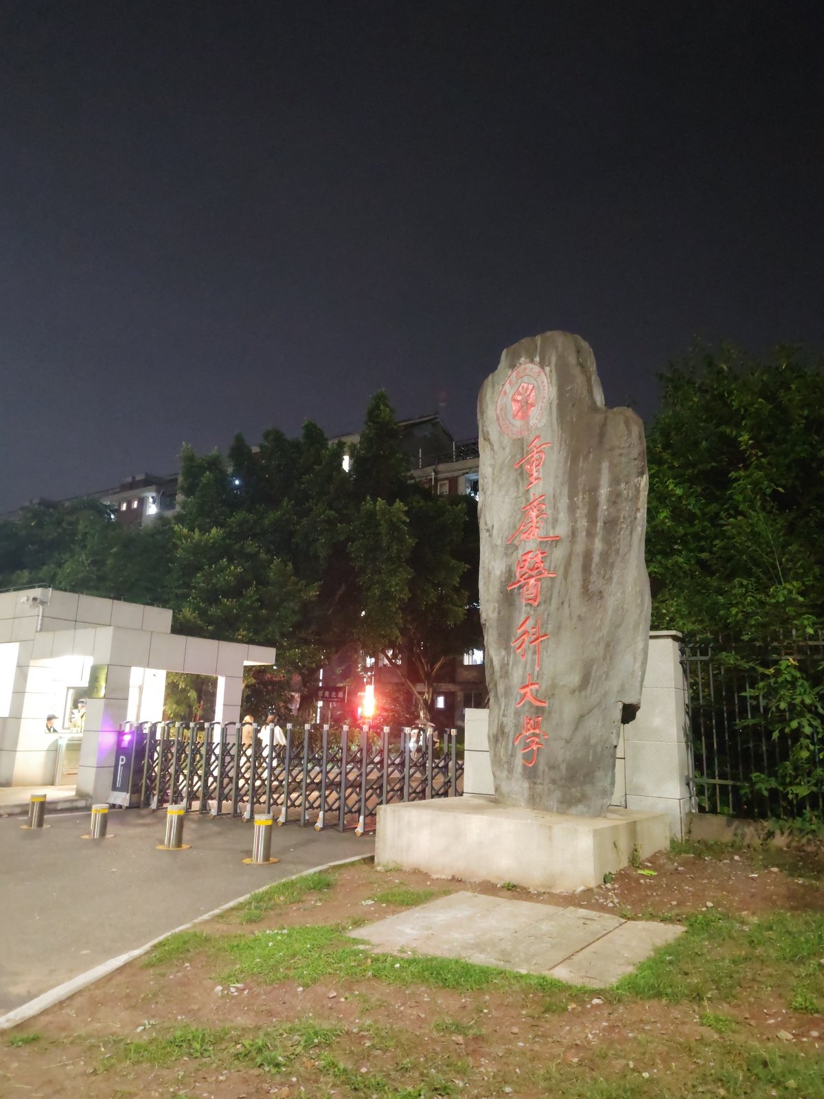 Night market bustles with vendors and customers in Shapingba District