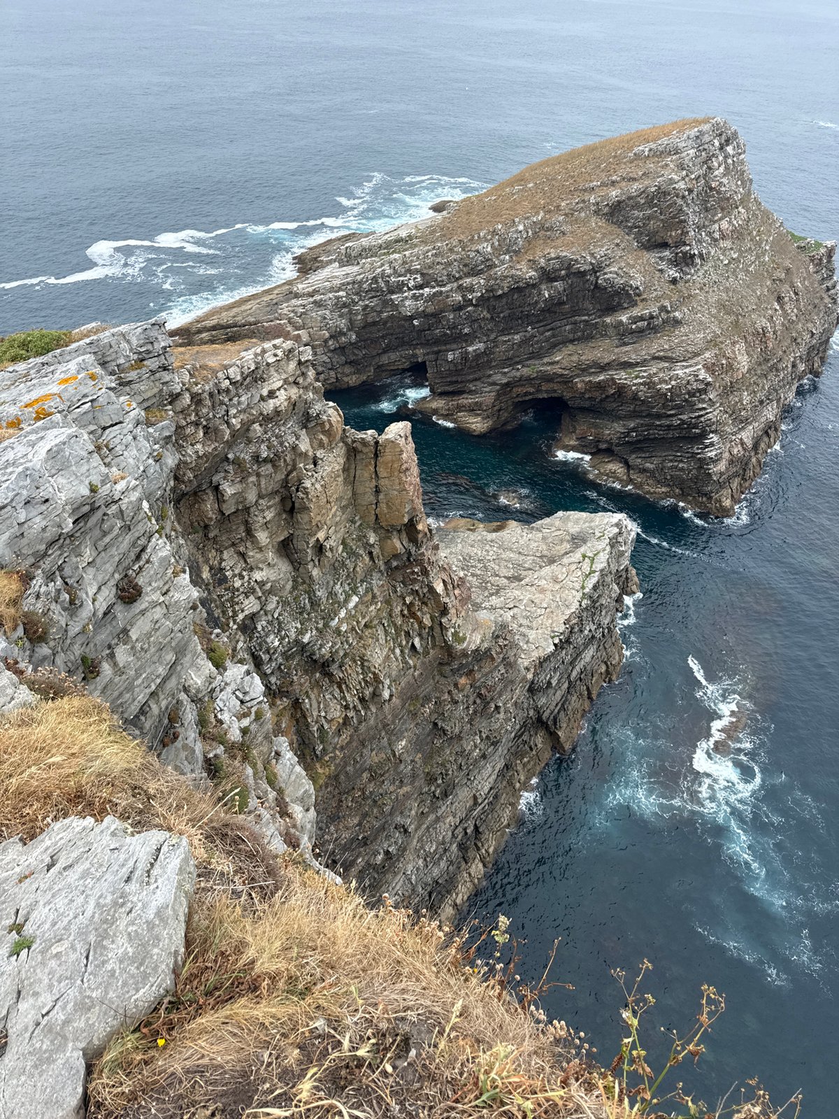 Bell-collared goat roams the clifftops above Cudillero's rugged coastline