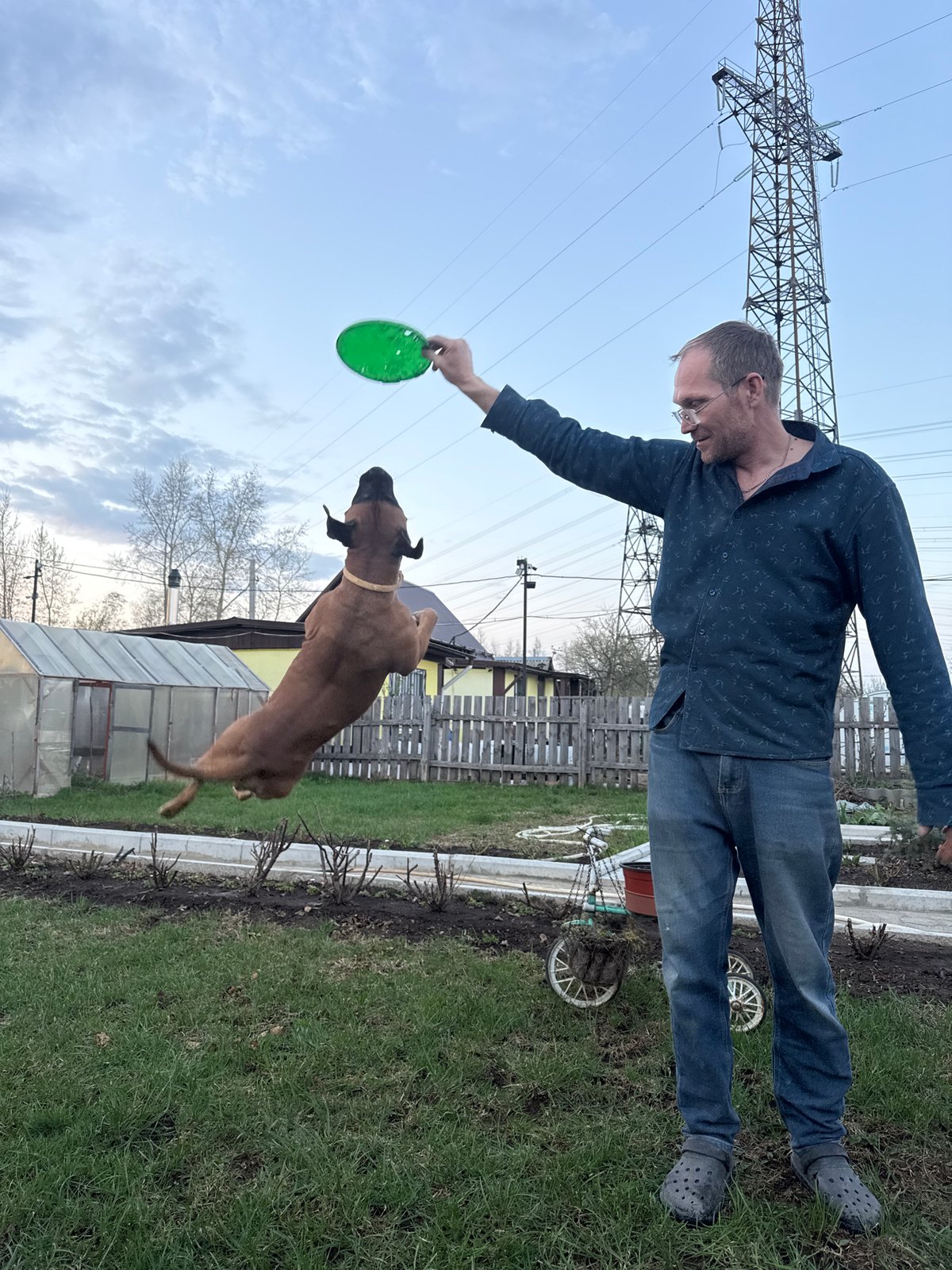 Afternoon backyard moments: frisbee, flowers, sunset in Chaikovsky, Russia