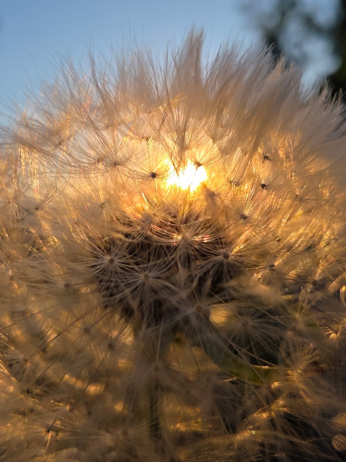 Everyday moments documented across afternoon and evening in Chaikovsky