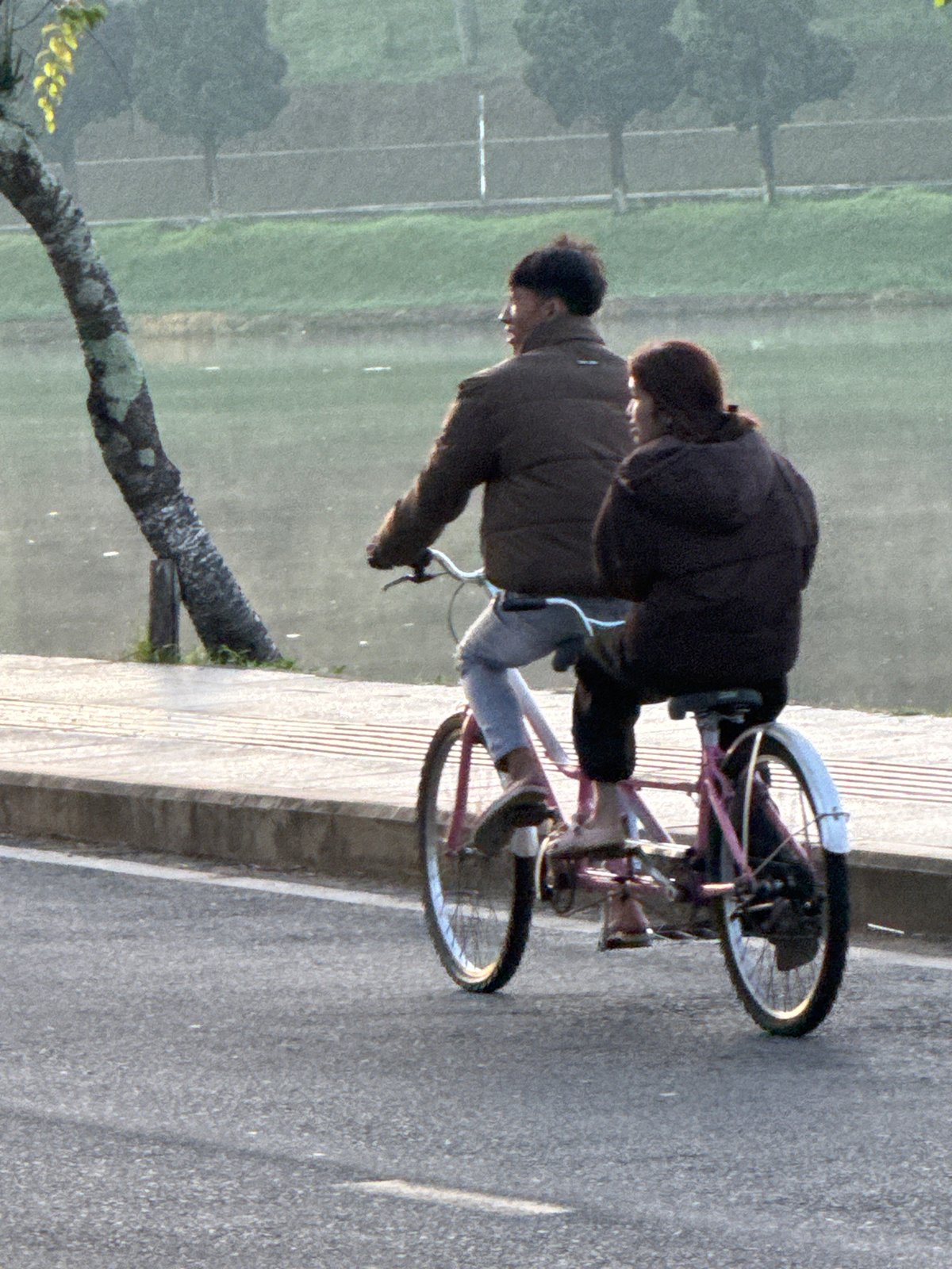 Evening cycling and walking activities observed around Đà Lạt lake