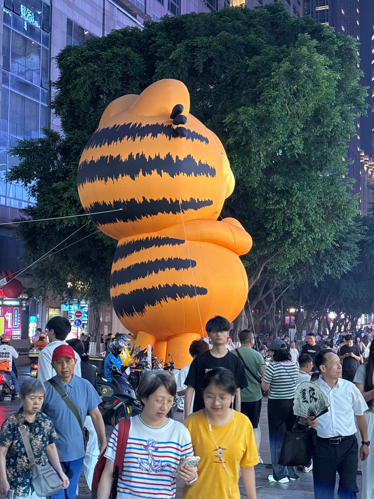Evening crowds explore illuminated Yuzhong District streets and panda displays