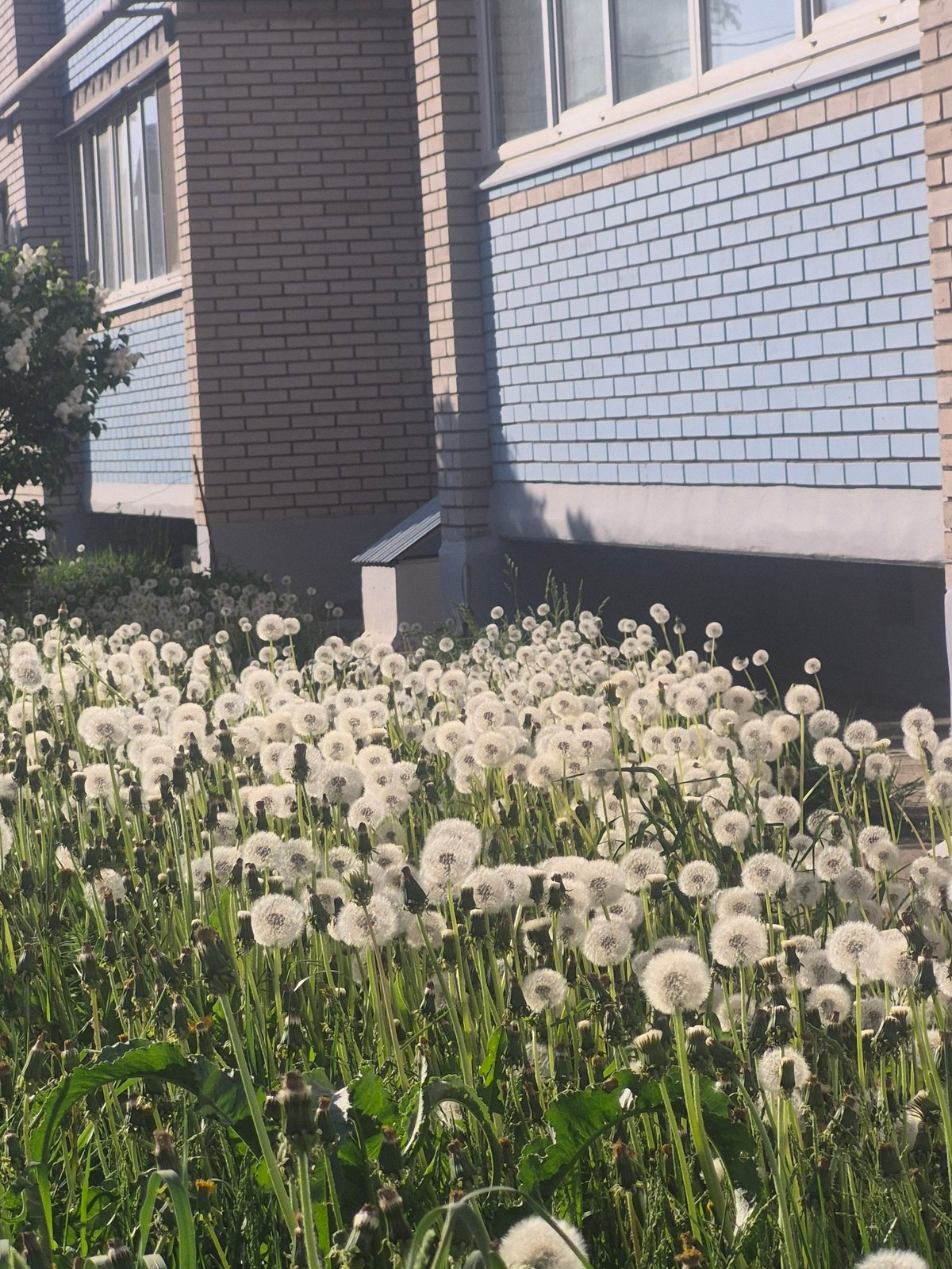 Spring day moments captured: flowers, construction, bikes, portraits
