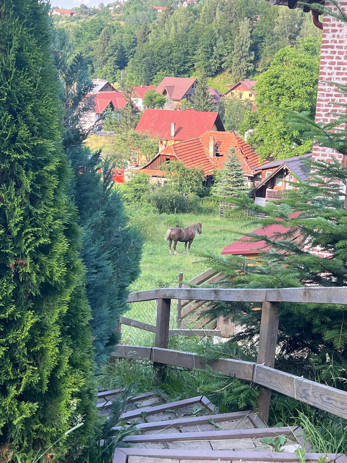 Quiet afternoon on a rural hillside: animals, village views, open fields