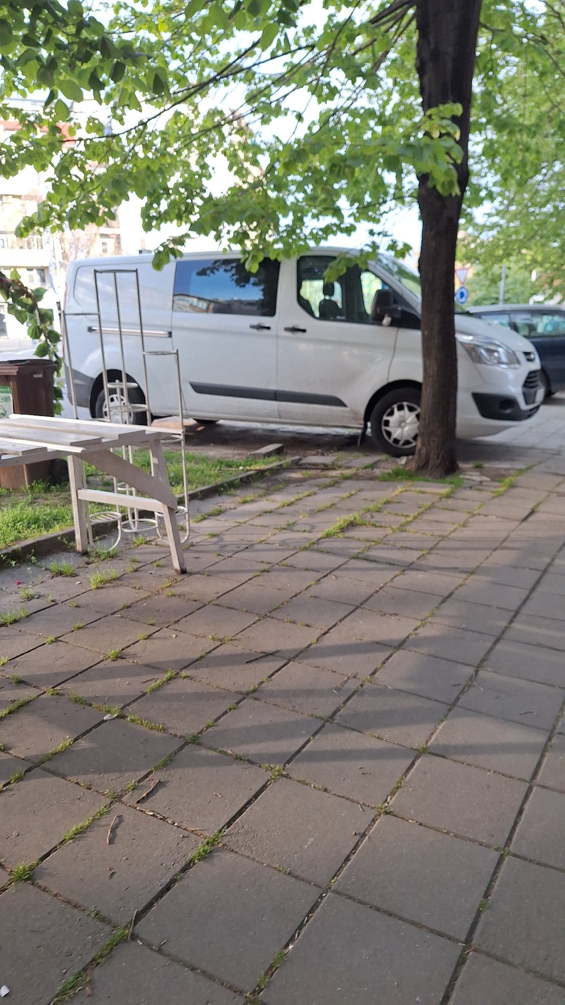 Morning scenes documented in Blagoevgrad, Bulgaria including dog, streets
