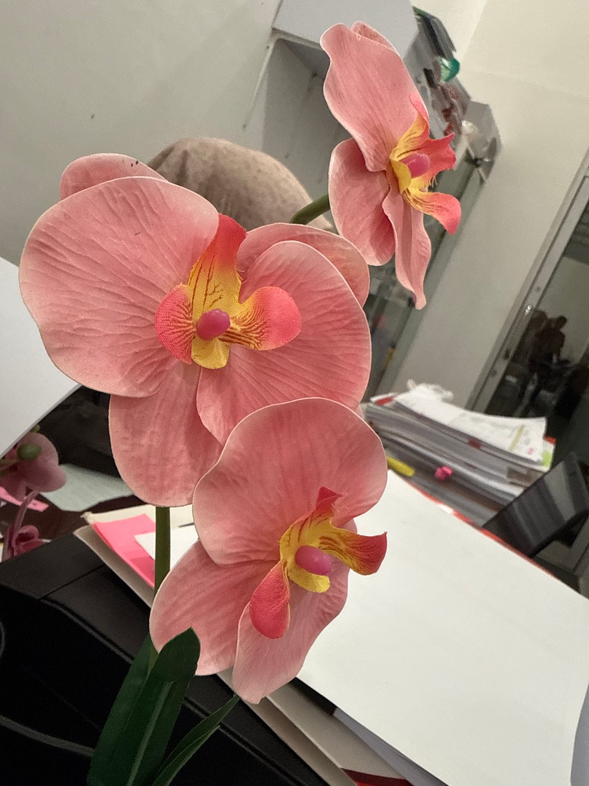 Artificial orchid arrangement observed in Lhokseumawe, Indonesia