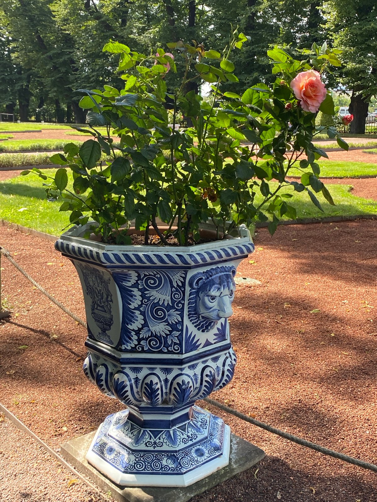Summer morning at Saint Petersburg's gardens and Peterhof fountains