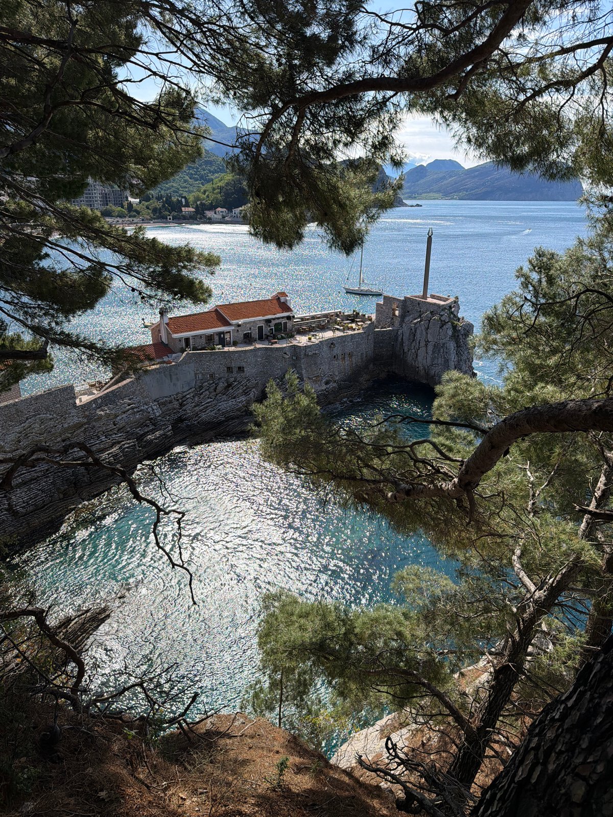Man and dog enjoy morning clifftop views in Montenegro
