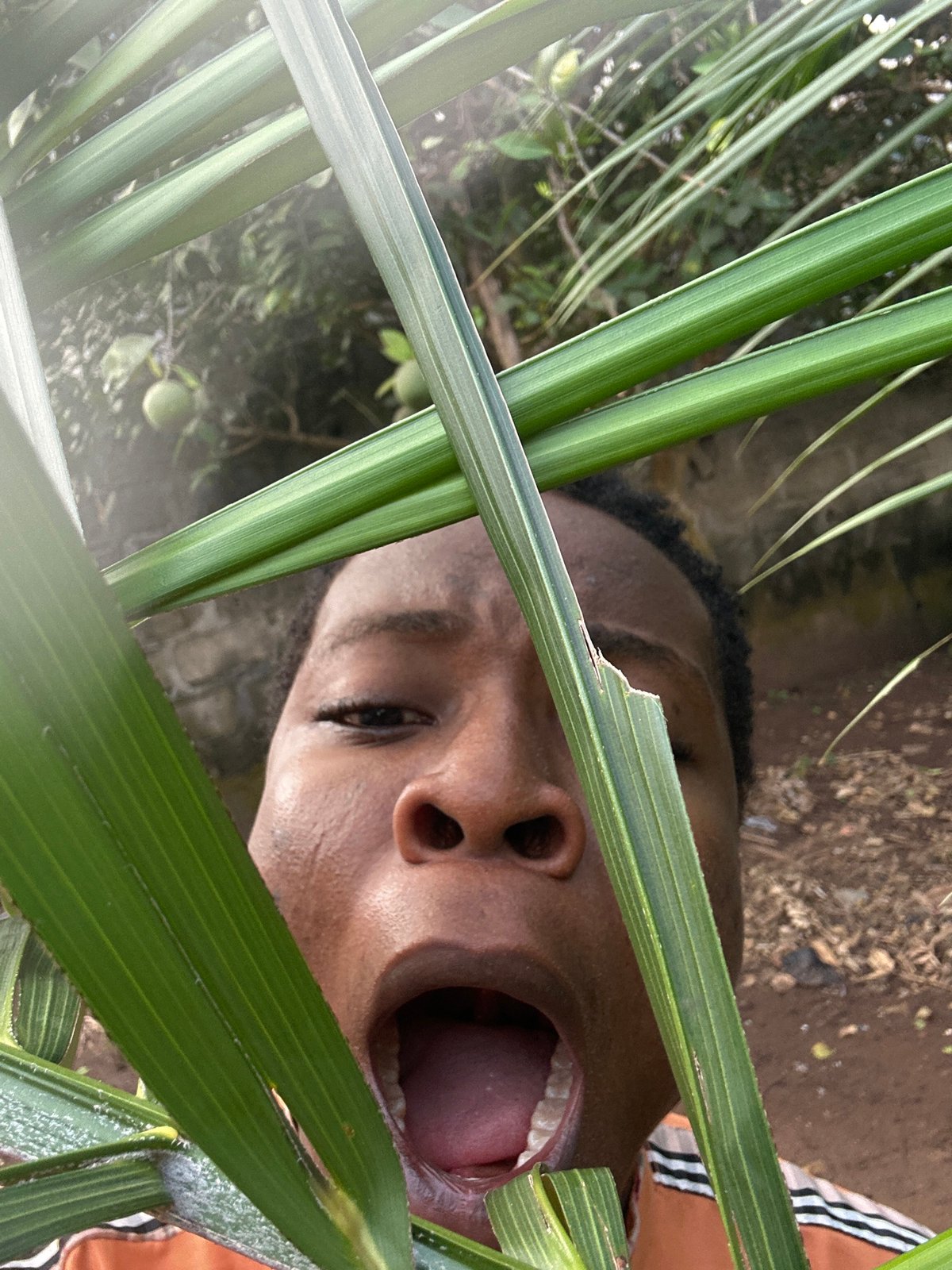 Person carries bucket outdoors among green foliage