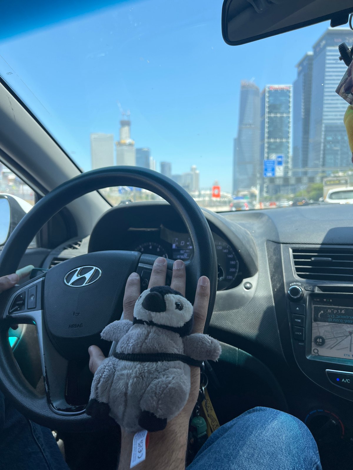 Driver captures sunny Tel-Aviv cityscape view from car