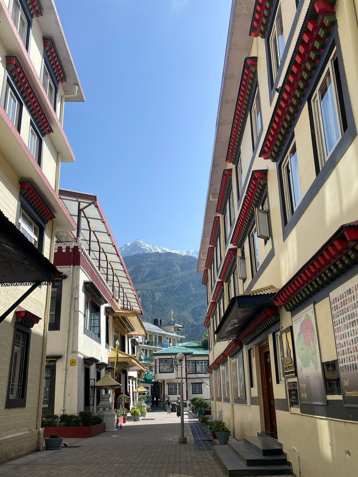 Early morning scenes captured in Dharamshala show architecture, sports, nature