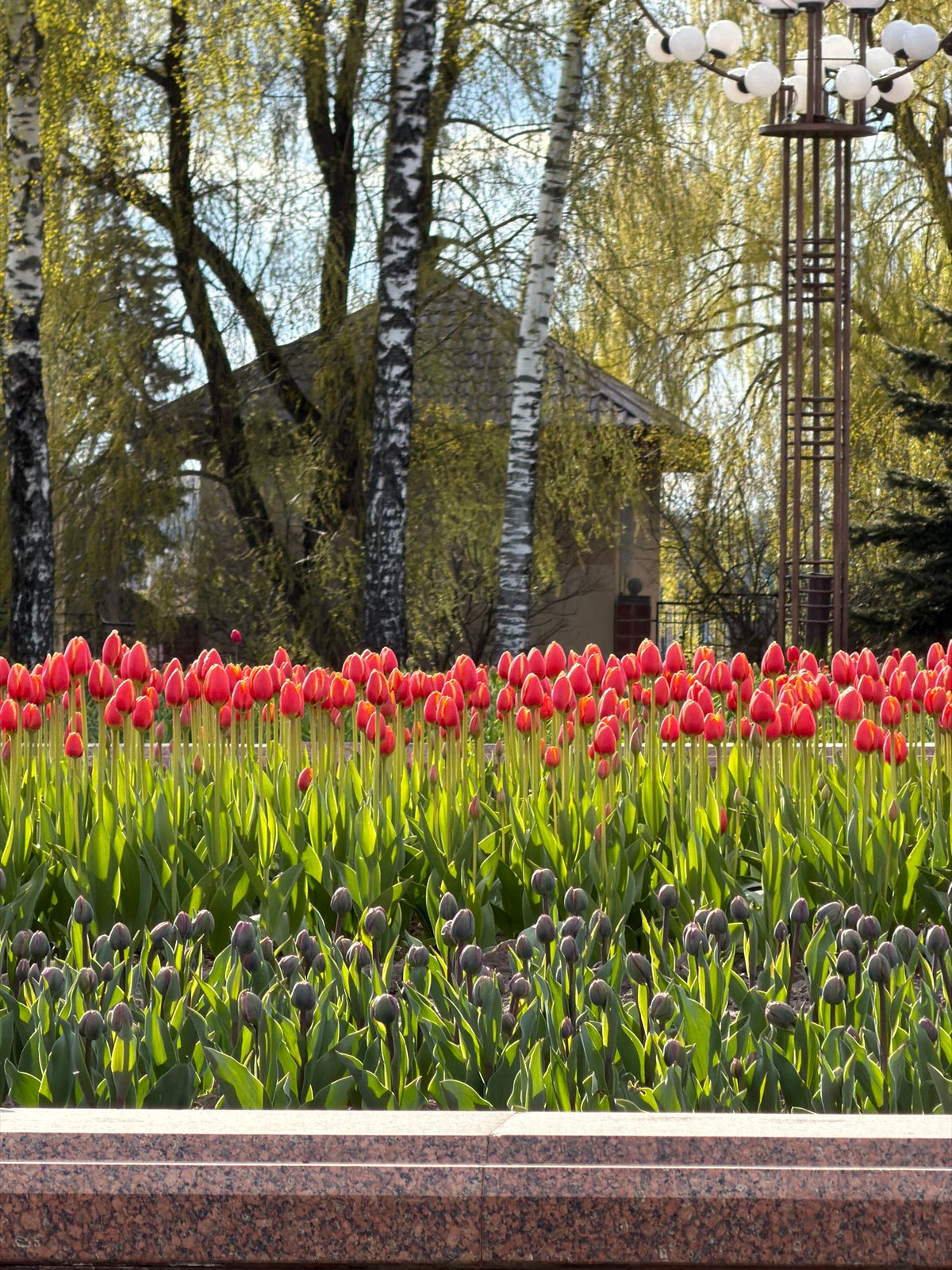 Sunny afternoon captured in Vitsebsk park, Belarus