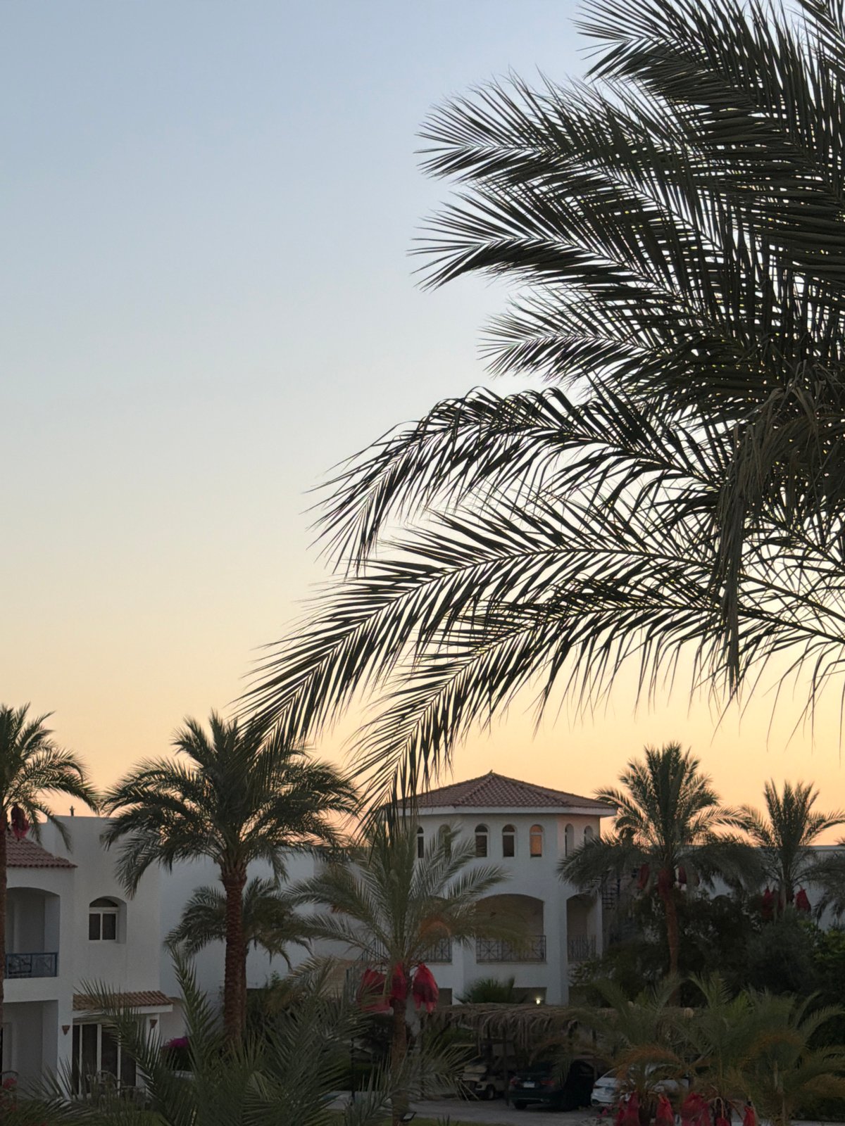 Sunset at a Sharm El Sheikh resort, palm trees and pool views