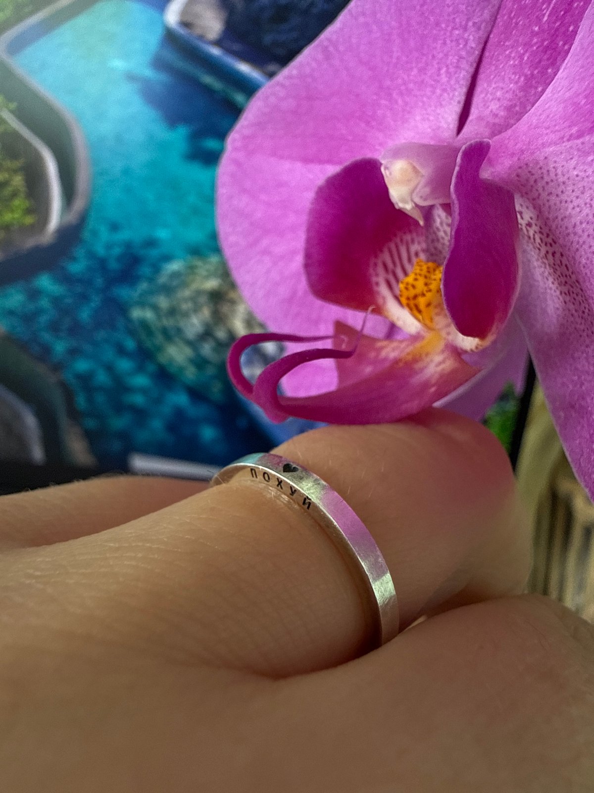 Ring and purple orchid photographed in Chernushka, Russia