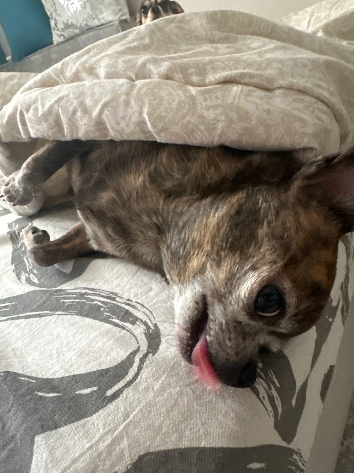 Morning routine moments captured in Мирный household