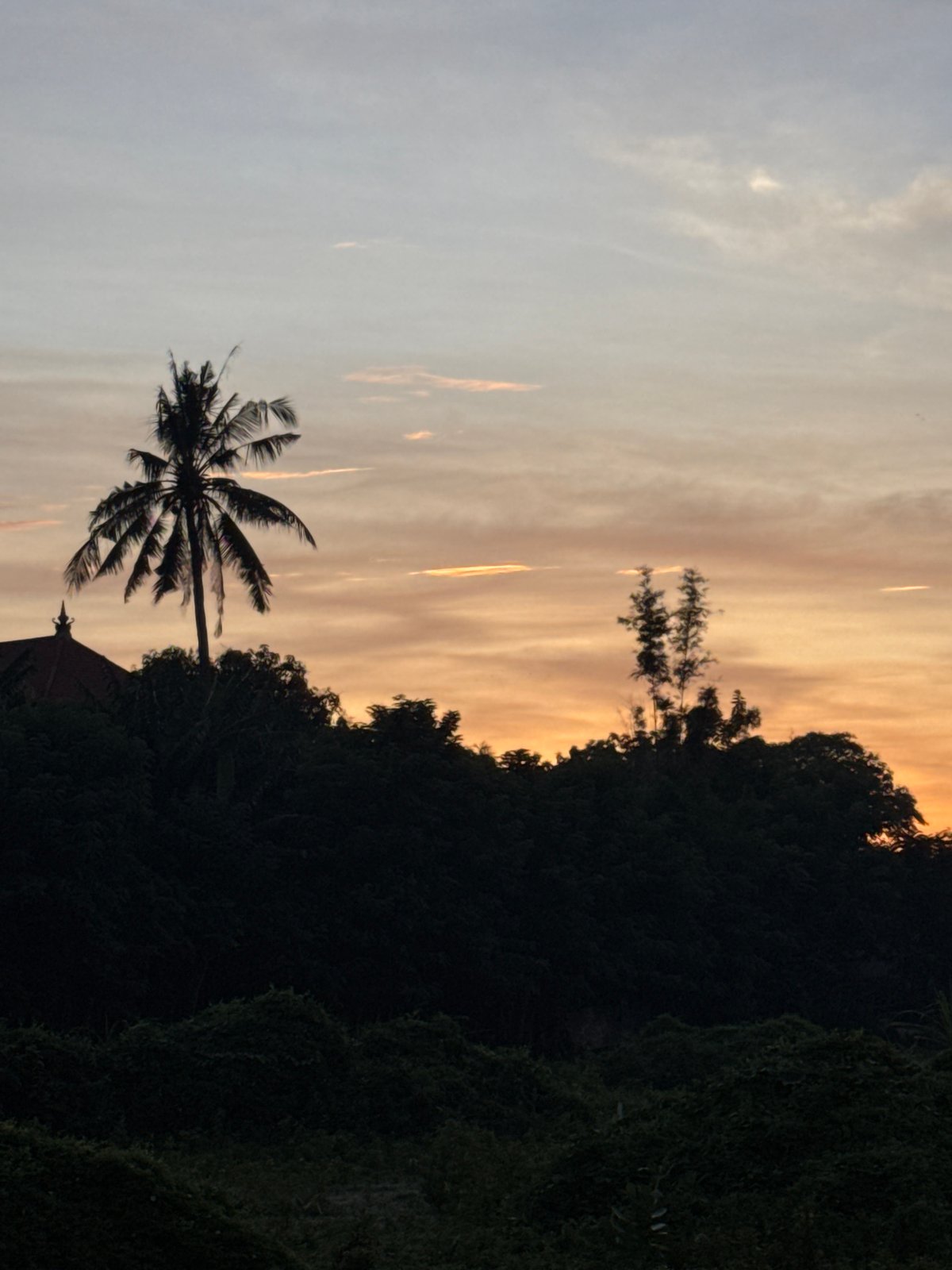 Evening scenes from Kuta: pools, wildlife, and local life