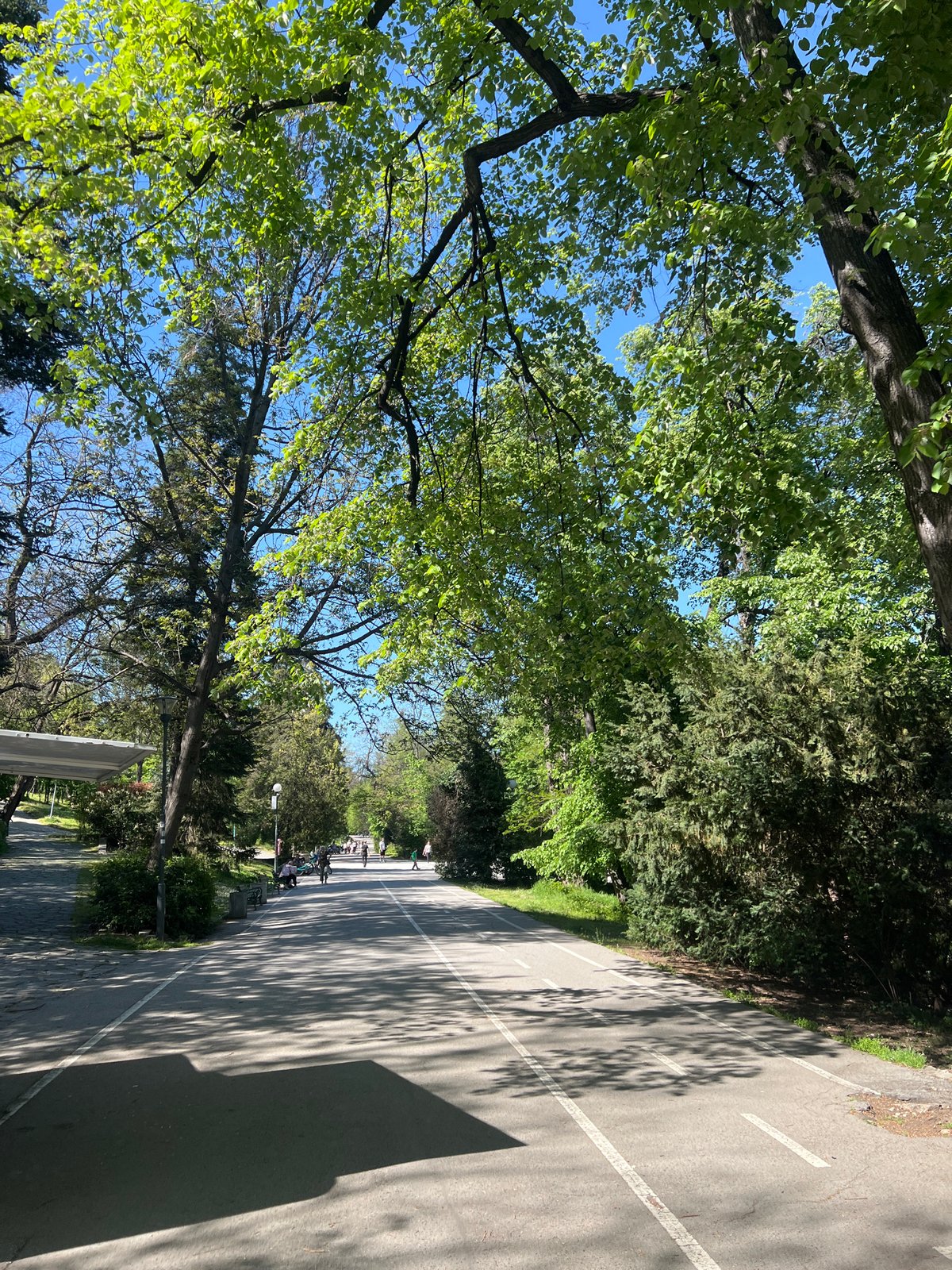 Witness documents peaceful park scenes in Plovdiv, Bulgaria