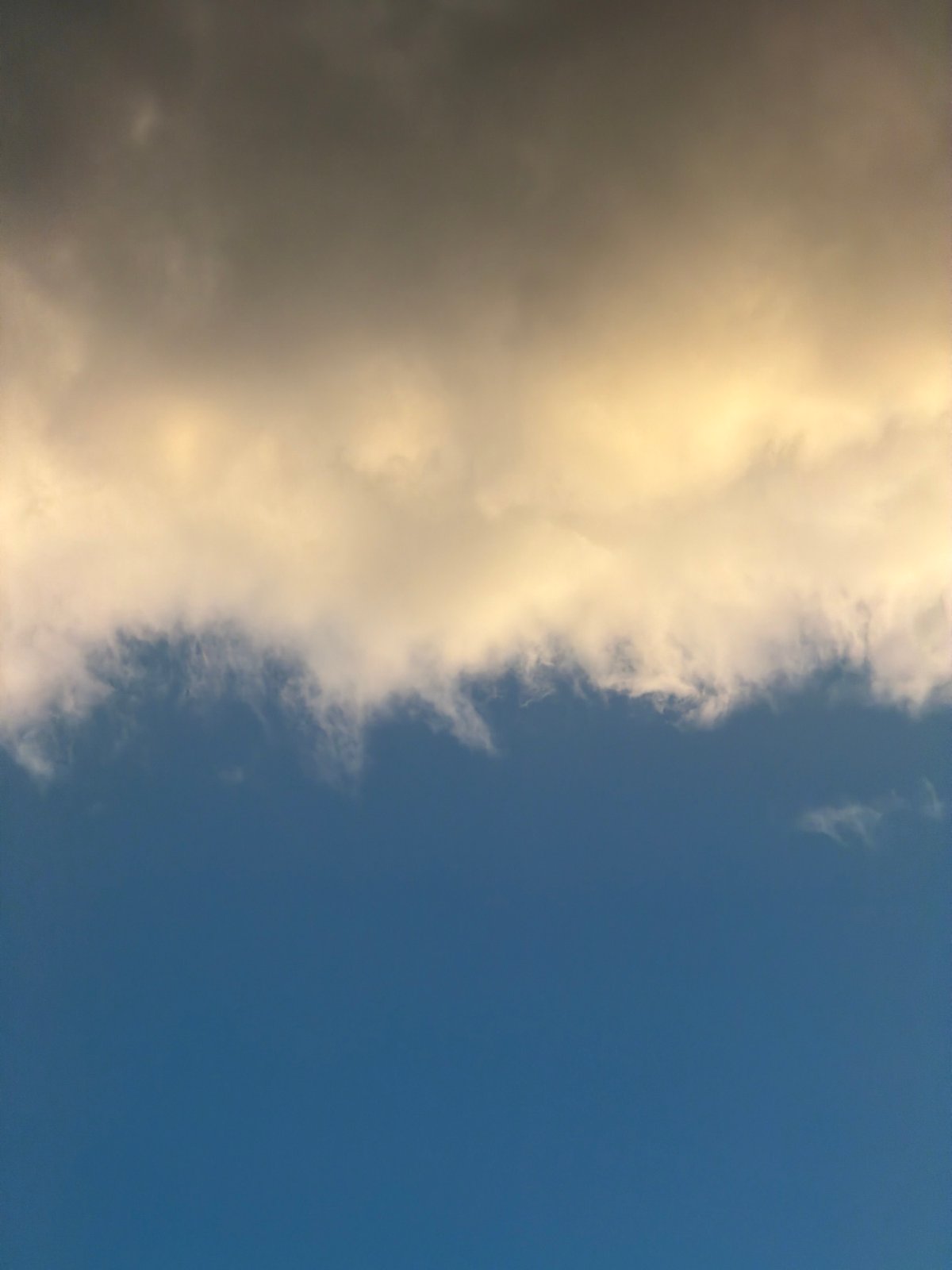 Quiet afternoon moments captured in Sofia: clouds and reading