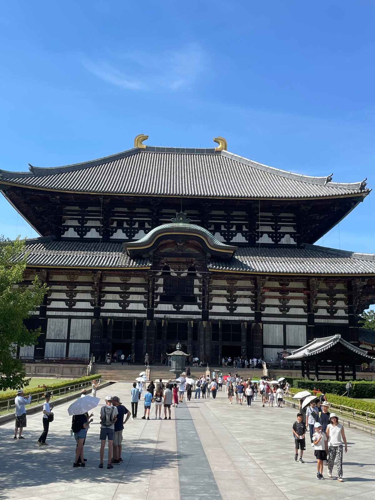Sunny day at Nara's iconic Todai-ji Temple