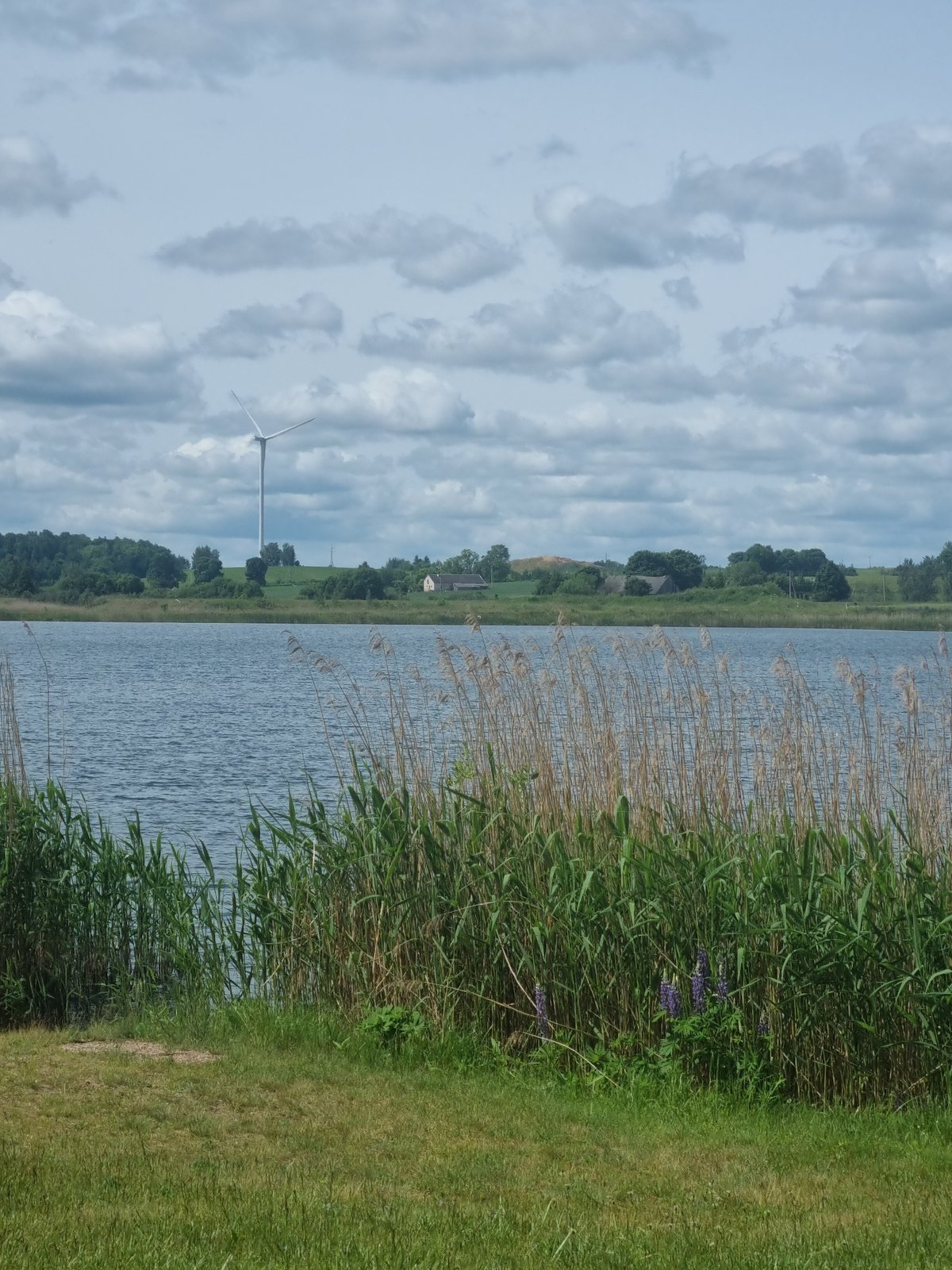 Peaceful lakeside camping area documented in rural Lithuania