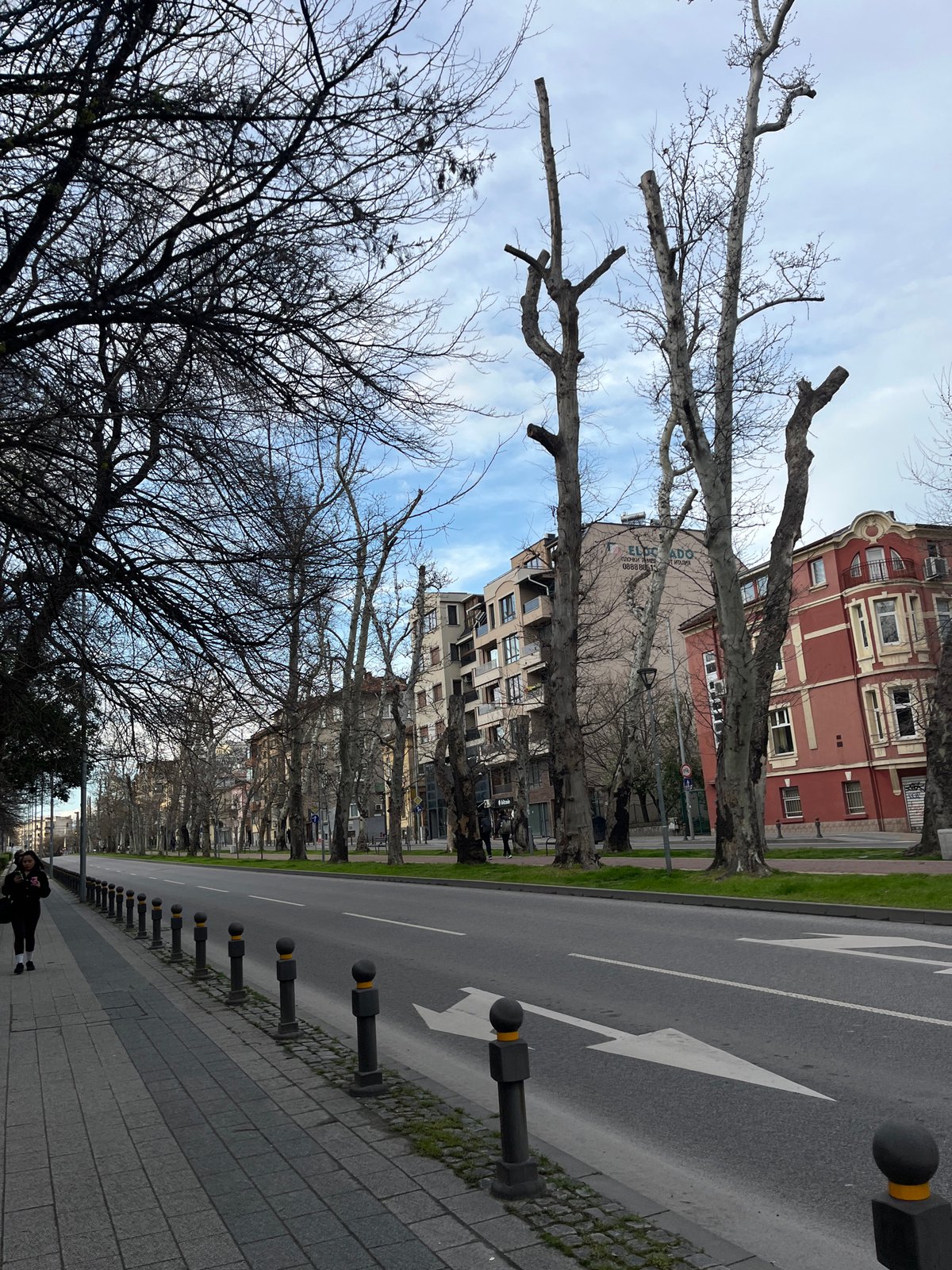 Spring scenes documented in Plovdiv parks and streets
