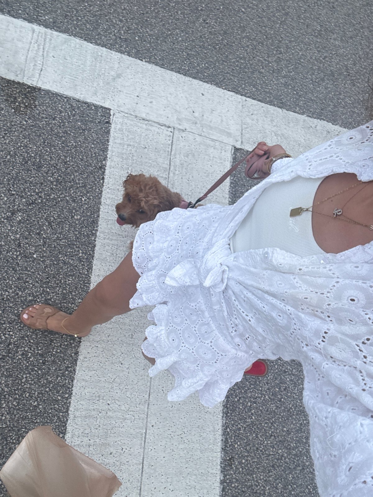 Woman walks poodle mix in evening Boca Raton crosswalk