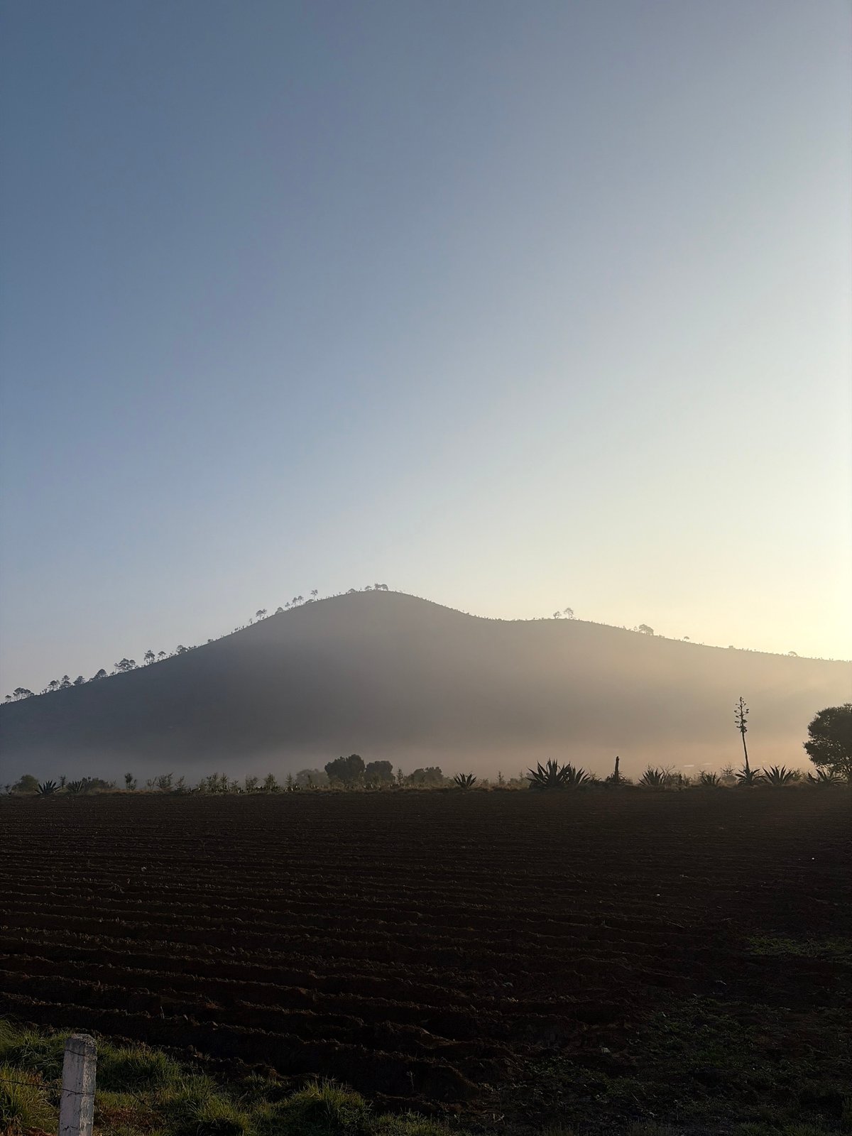 Rural landscapes documented in San Andrés Payuca, Mexico
