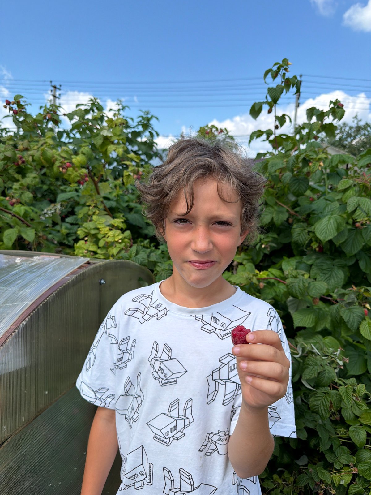 Summer garden day in Chaikovsky: berries, crawfish, and backyard basketball