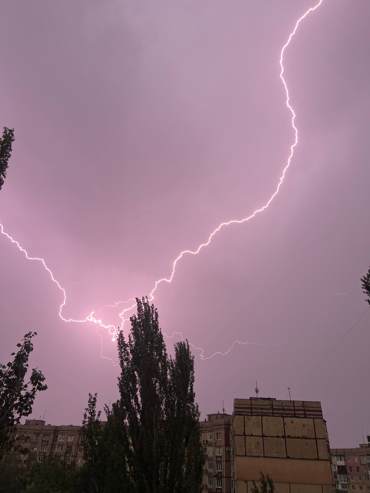 Lightning storm flashes over city apartments and tree silhouettes