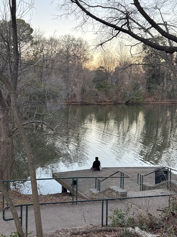 Evening dog walk documented across Atlanta parks and waterfront