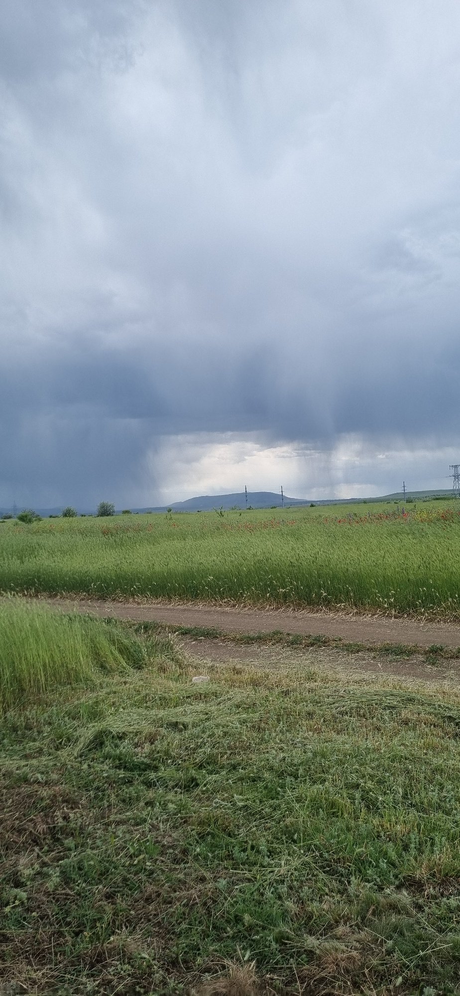 Rural life documented in Ukrainian village of Blizhnee