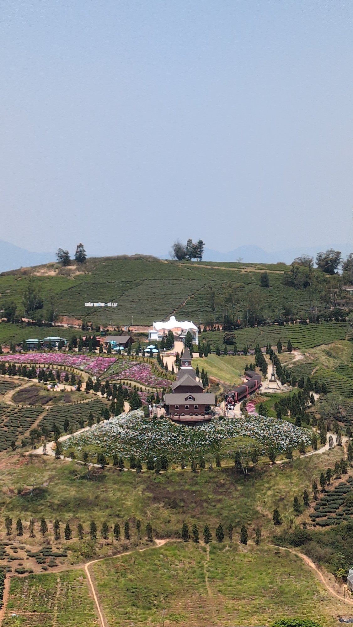 Aerial view captures tea plantation near Phát Chi, Vietnam
