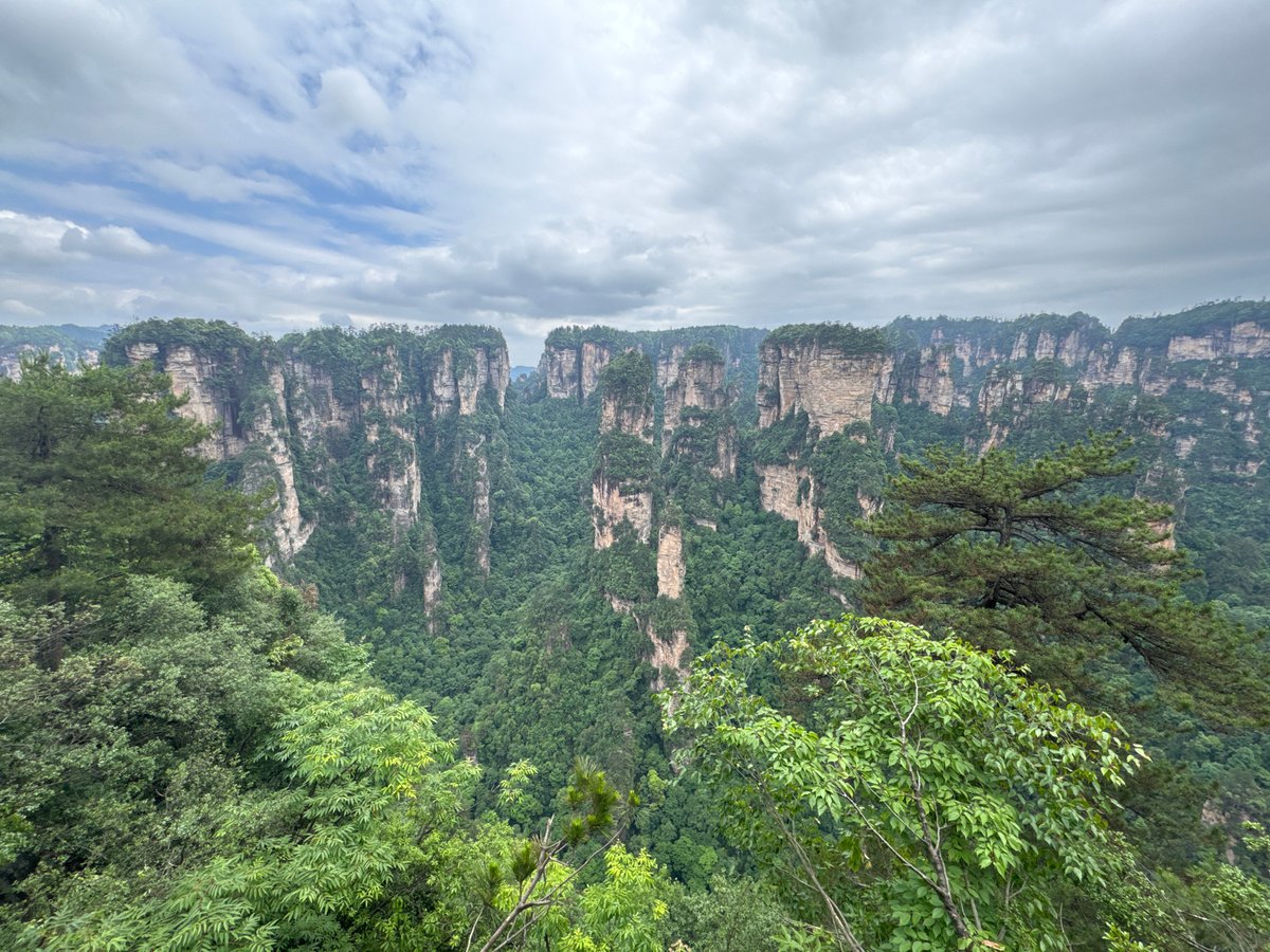 Tourists photograph Zhangjiajie's towering sandstone pillars from scenic overlooks