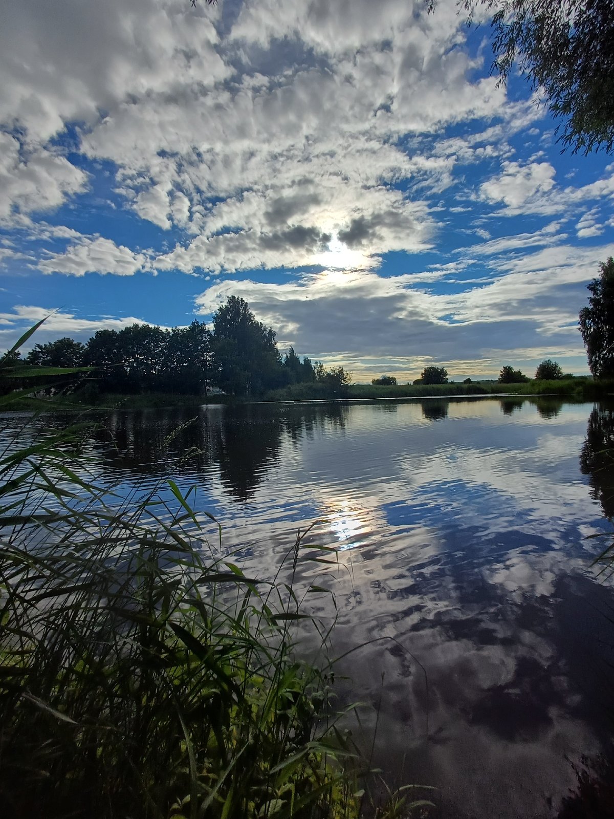Quiet rivers, reeds, and wildflowers along Riga's waterways