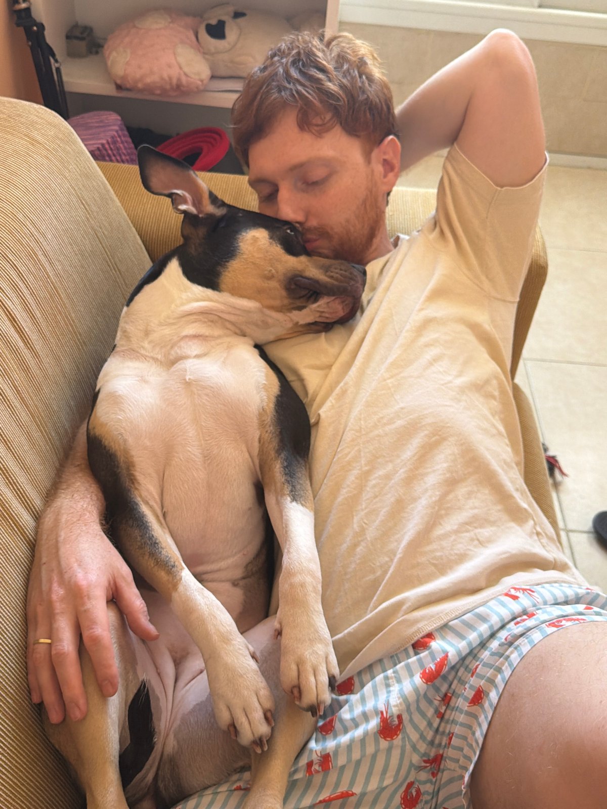 Man relaxes with dog on couch in Tel-Aviv