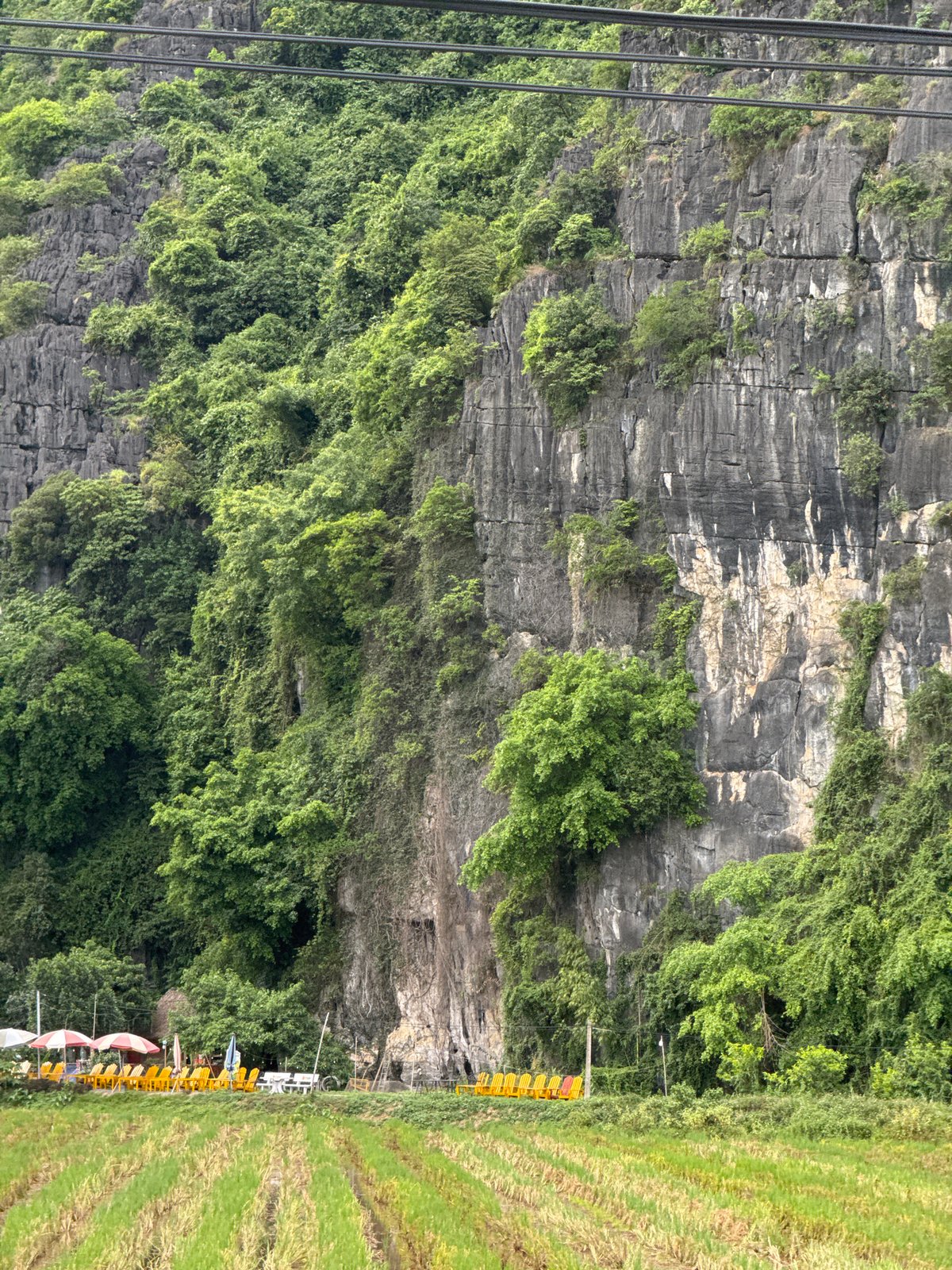 Road trip through limestone landscapes in Nam Hoa Lư Ward