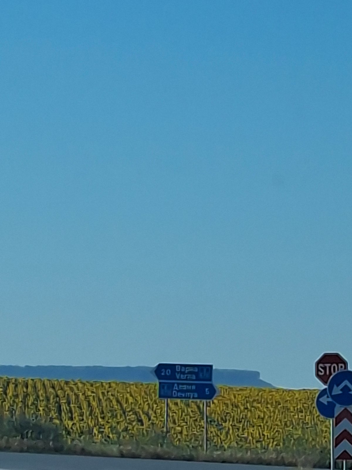 Road trip through sunflower country in rural Bulgaria
