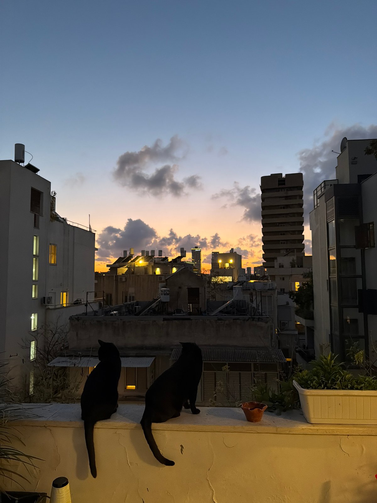 Tel Aviv skyline captured during dusk hours