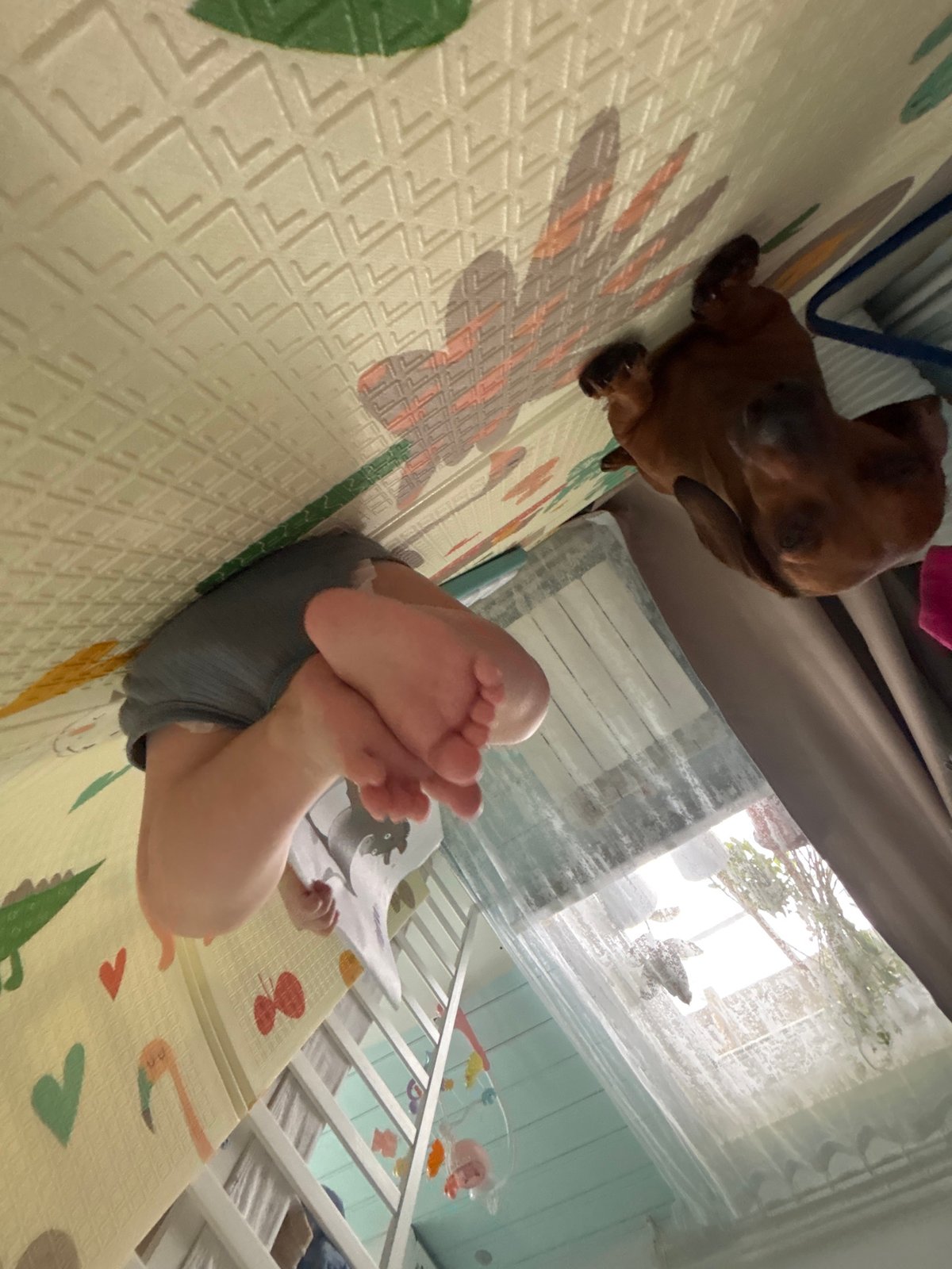 Family moments with baby, dog documented in Russian village