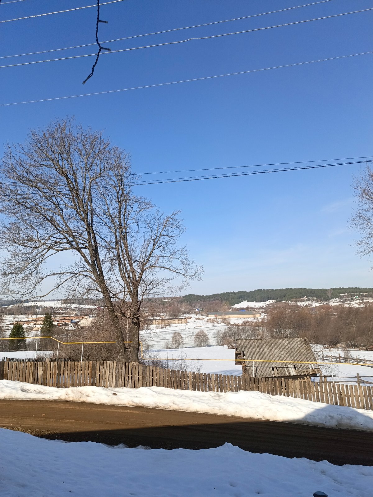 Winter morning domestic scenes captured in Russian village