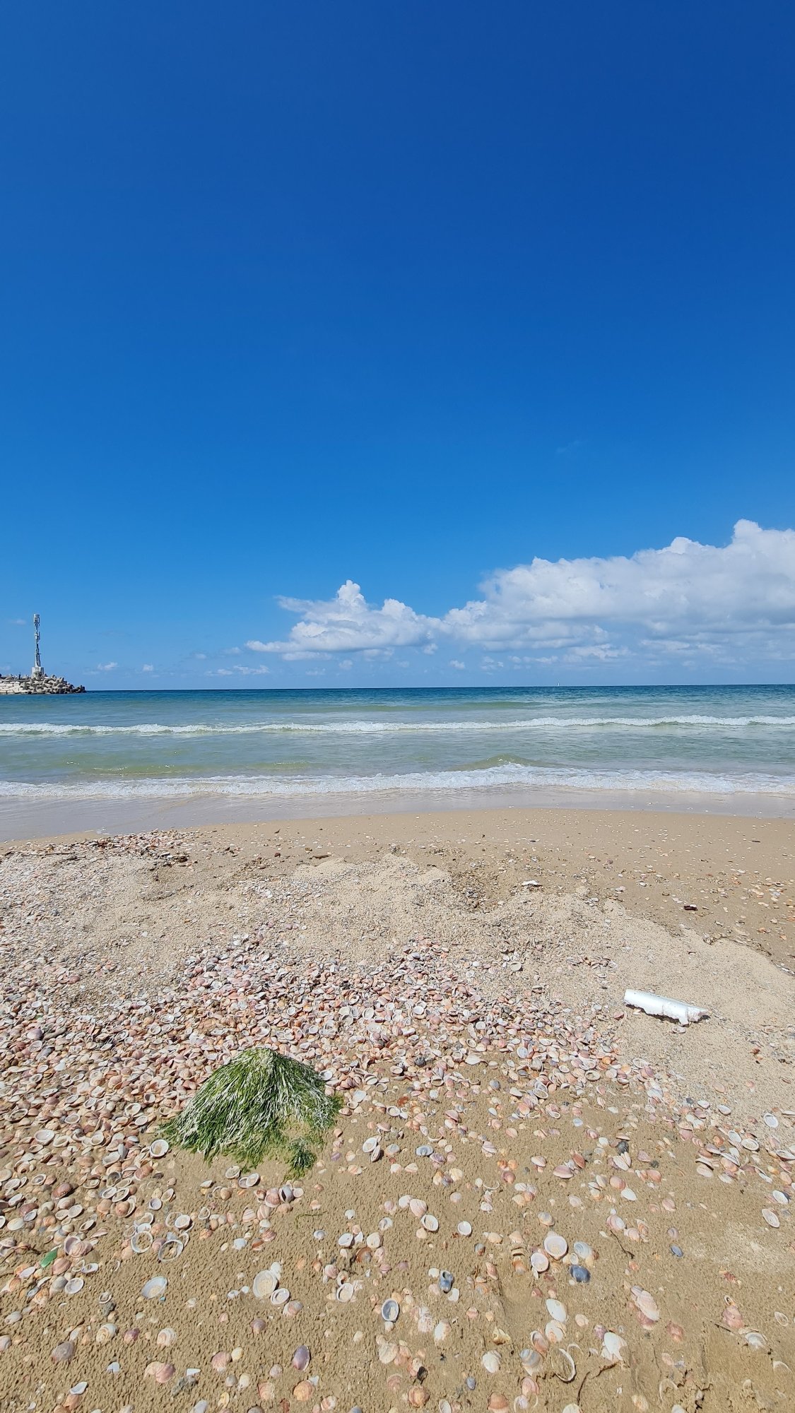 Beach, carnival, and car scenes documented in 90-minute span