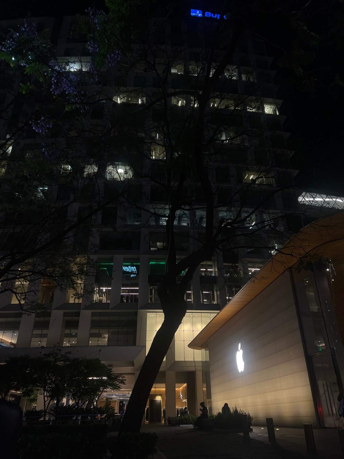 Modern Mexico City buildings illuminated during early morning hours