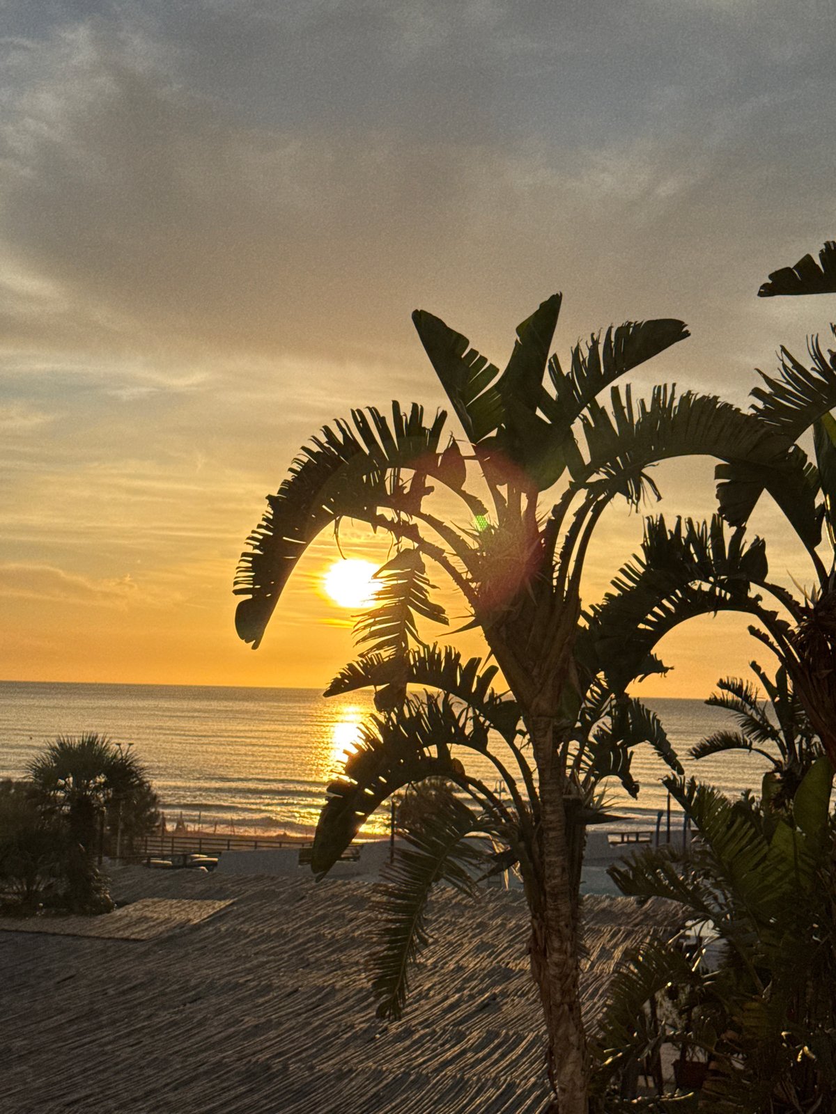 Sunset Social Gathering Captured at Italian Coastal Resorts