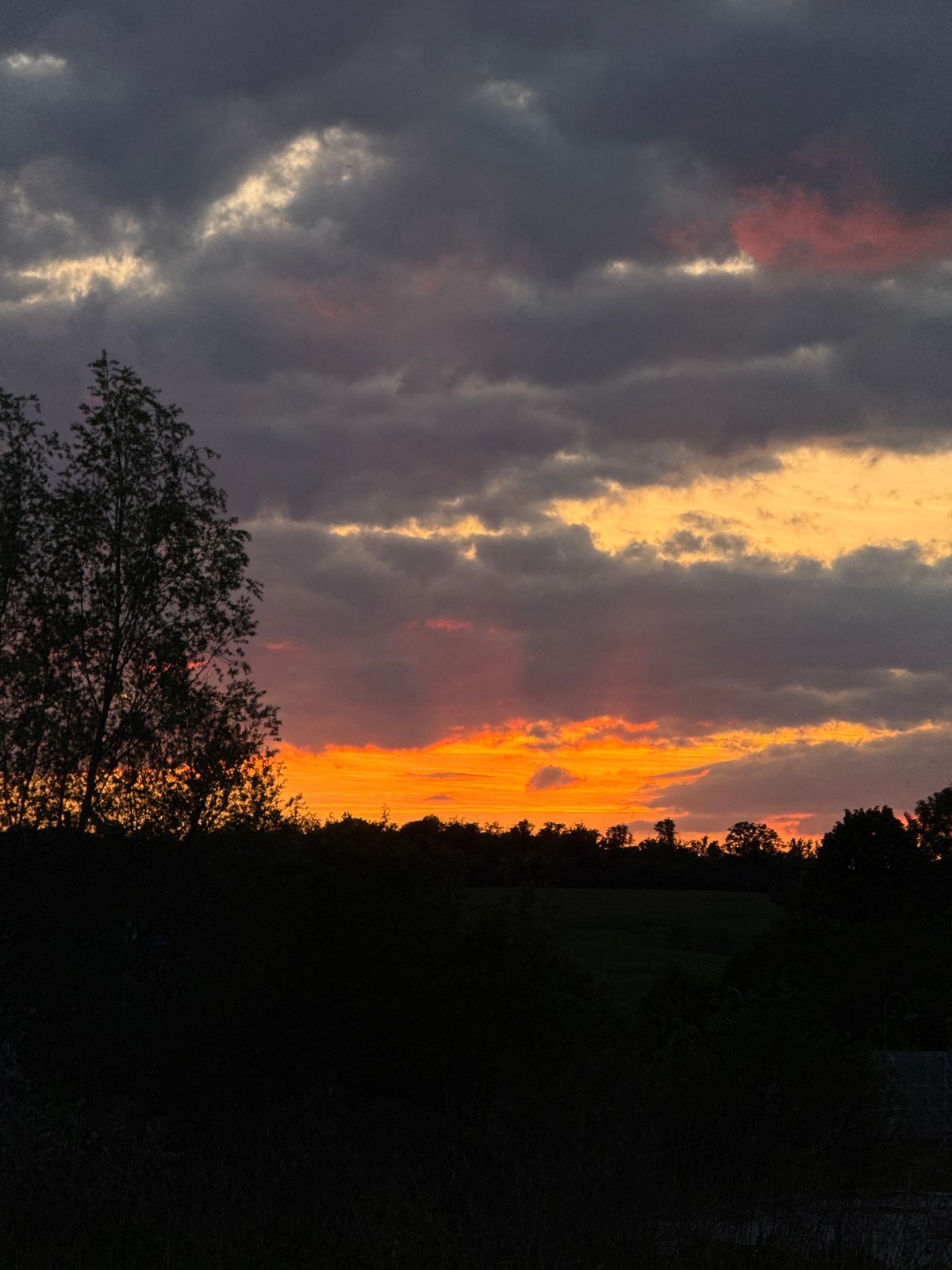 Evening dog walk captured during dramatic sunset in Luxembourg