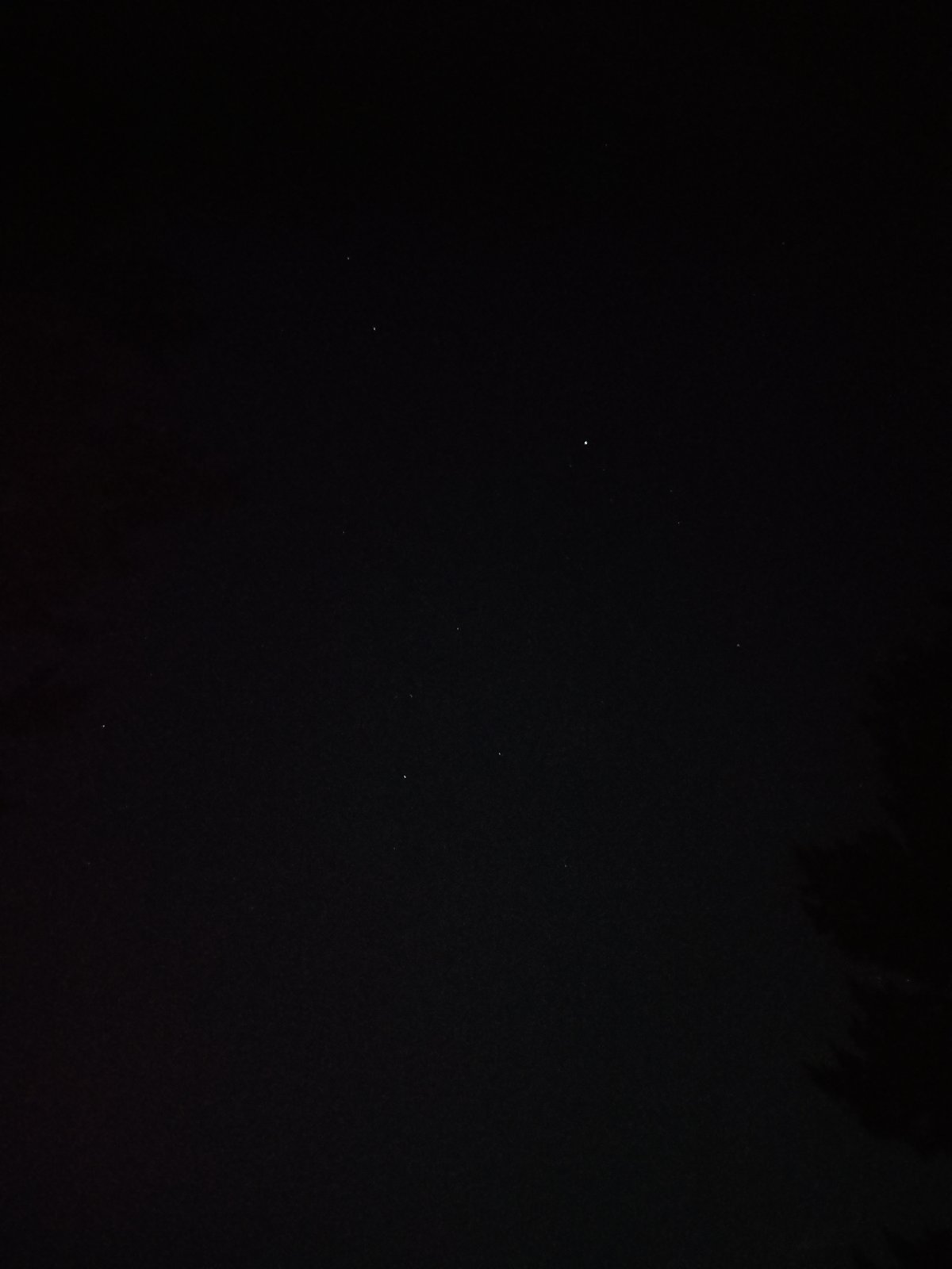 Sofia resident documents starry night, internet memes in five-minute span